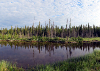 Green spring scenery of Northwest Territories