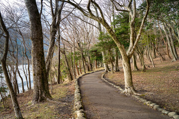 湖畔沿いの冬の散歩道