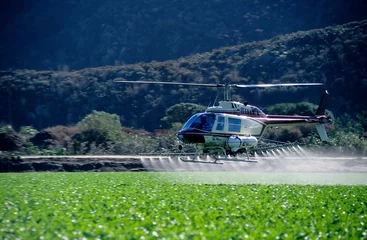 Tuinposter Crop dusting helicopter spraying crops. © Joseph