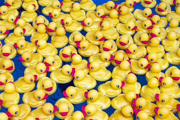 Dozens of Yellow Rubber Ducks Are Floating as Part of a Carnival Game at the San Diego County Fair