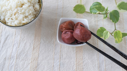 日本の食卓。梅干とご飯。”Japanese Pickled dried plum・Salted plum”
