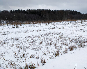 snow covered field landscape