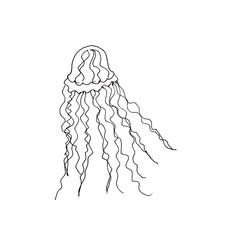 sea jellyfish black and white graphic drawing