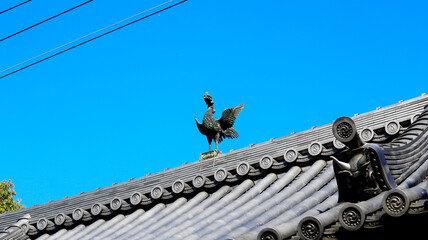 Japanese traditional building,  Sennyuji temple in Kyoto