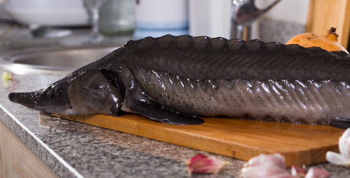 Image of uncooked raw sturgeon at plate laying on table
