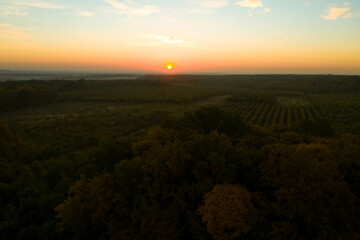 Aerial view of beautiful green autumn forest at sunset