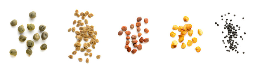 variety of vegetable seeds, left to right: okra or lady's fingers, tomato, white radish, chili and pigweed seeds, isolated on white background, collection