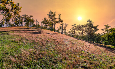Field snow grass in the morning when the sun shines mysterious rays into the grass covered with sparkling dew. It's great to see the scenery here to welcome new day