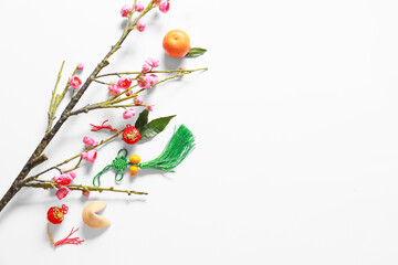 Blooming plum branches with Chinese symbols on white background