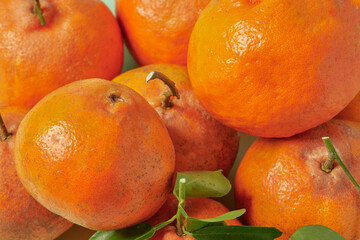 Tangerines on a green background.
