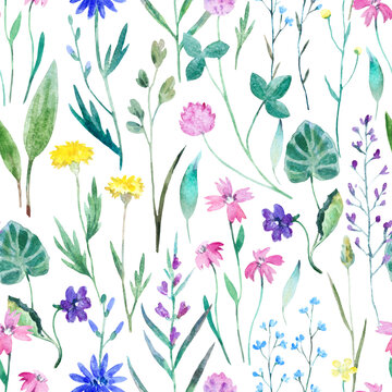 Watercolor seamless pattern with wild meadow flowers. Original hand drawn nature print for decor and textile design.