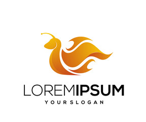 snail fire logo vector gradient color
