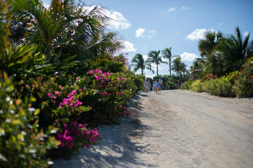 Fototapeta premium Taking a walk in tropical paradise