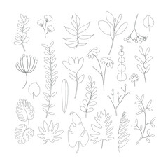 One line hand drawn plants, leaves, flowers. Vector illustration set isolated on white background. 