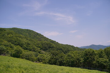 Fototapeta na wymiar 명성산, Myeongseong mountain, Republic of Korea