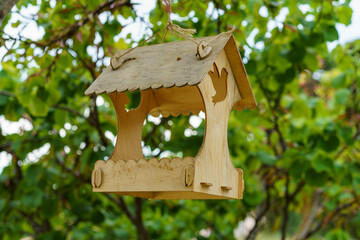 Bird feeders on trees against the sky in the park
