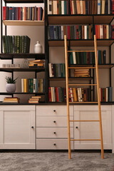 Home library interior with wooden ladder and collection of books on shelves