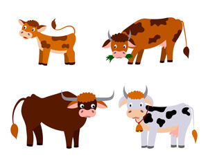 a set of cute cartoon cows and a calf. vector isolated on a white background.