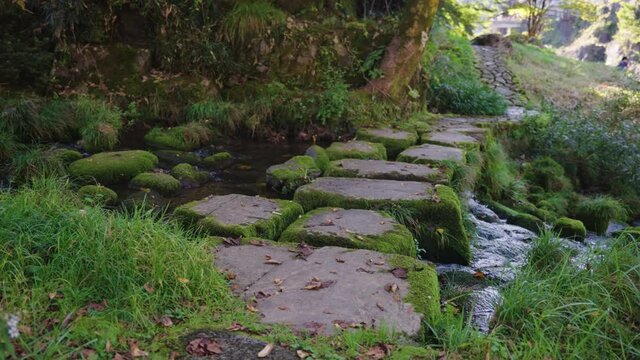 Secret Moss Covered Stone Path Over Stream in Gujo Hachiman, Gifu Japan