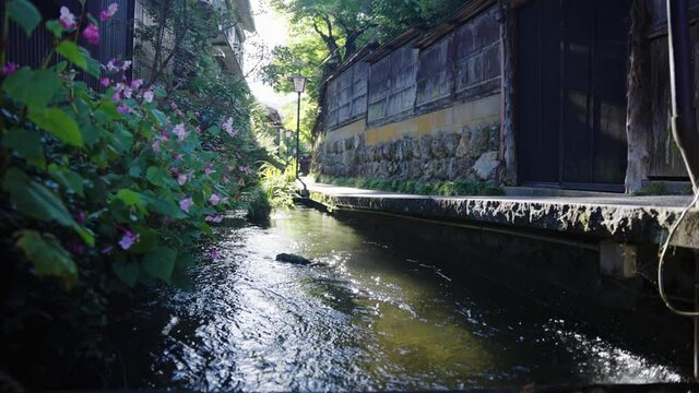 Peaceful Sidewalk Through Old Gujo Hachiman Street, Gifu Japan