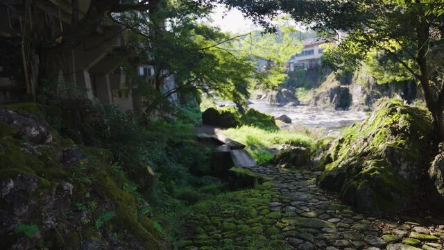 Moss covered cobblestone path in secluded Gujo Hachiman, Gifu Prefecture Japan