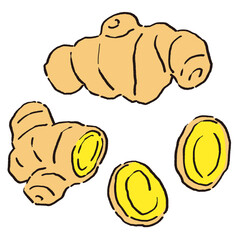 丸ごと生姜とスライスした生姜のイラストセット