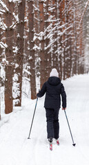 Two girls in a black and red jacket are skiing in winter in a snow-covered forest on a ski trail. Trees in a row.. Rear view. Skiing in a beautiful snowy forest in the cold. beautiful winter nature