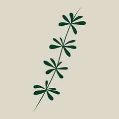 Christmas floral decorative elements for greeting cardsand and posters. Winter branch, berries, plants and floweres. Hand drawn vector illustration