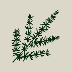 Christmas floral decorative elements for greeting cardsand and posters. Winter branch, berries, plants and floweres. Hand drawn vector illustration