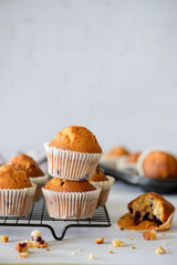 muffins with blueberry