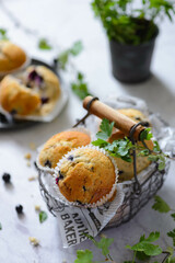blueberry muffins
