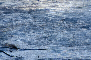 Blue grey wood texture