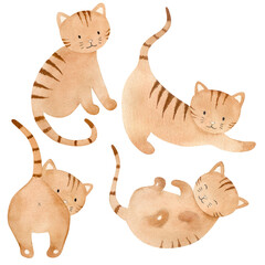 Set of watercolor red cats