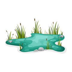 Swamp with reeds on a white background. Vector illustration