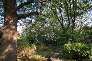 Obraz premium 森戸原第一公園（神奈川県横浜市港北区）