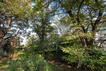 森戸原第一公園（神奈川県横浜市港北区）