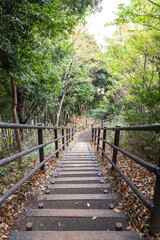 Fototapeta premium 日吉の丘公園（神奈川県横浜市港北区箕輪町）