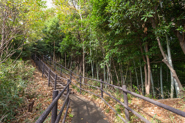 日吉の丘公園（神奈川県横浜市港北区箕輪町）