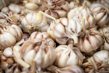Bulk of garlic in market, texture background