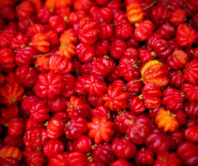 Close up of many red and green Habanero peppers in a market. Top view background