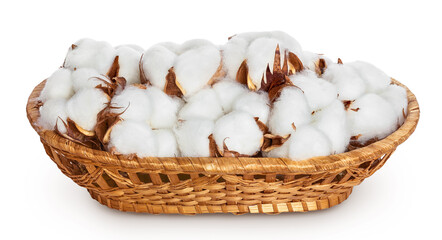Obraz na płótnie Canvas Cotton plant flower in a wicker basket isolated on white background with clipping path and full depth of field