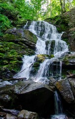 Fototapeta premium waterfall in the forest
