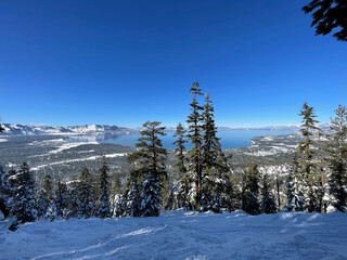 Landscape view of Lake Tahoe framed by trees from a ski resort on a bluebird winter day