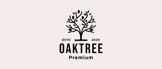 oak tree icon vector logo design
