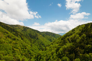 Fototapeta na wymiar 夏のコマクサ峠から眺める高峰山