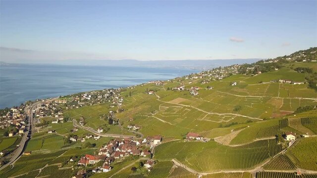 drone shot flying over the grape fields of Lavaux Oron, Wallis Switzerland with lake Geneva in the background in 4k.