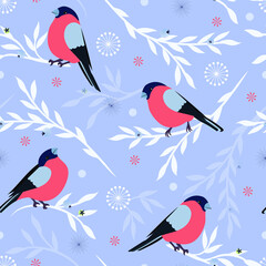 Vector seamless pattern. Winter birds. Botanical illustrations. Bullfinches and blueberry branches.