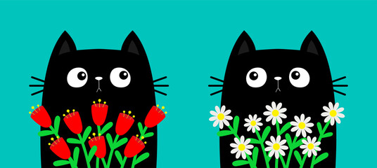 Happy Valentines Day. Cat holding daisy chamomile. Camomile tulip flower bouquet. Cute cartoon kawaii funny animal. Kitten kitty set. Love greeting card, tshirt print. Flat design. Blue background.