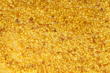 grain mustard background. mustard beans top view