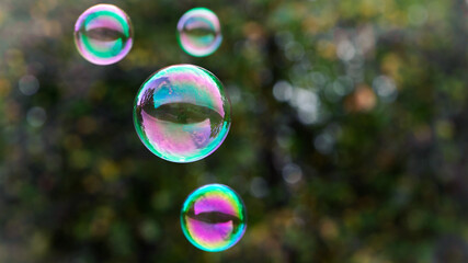 soap bubbles isolated on green background. four large soap bubbles float through the air against a blurred natural background. holiday concept, summer, childhood. multicolored balls close-up